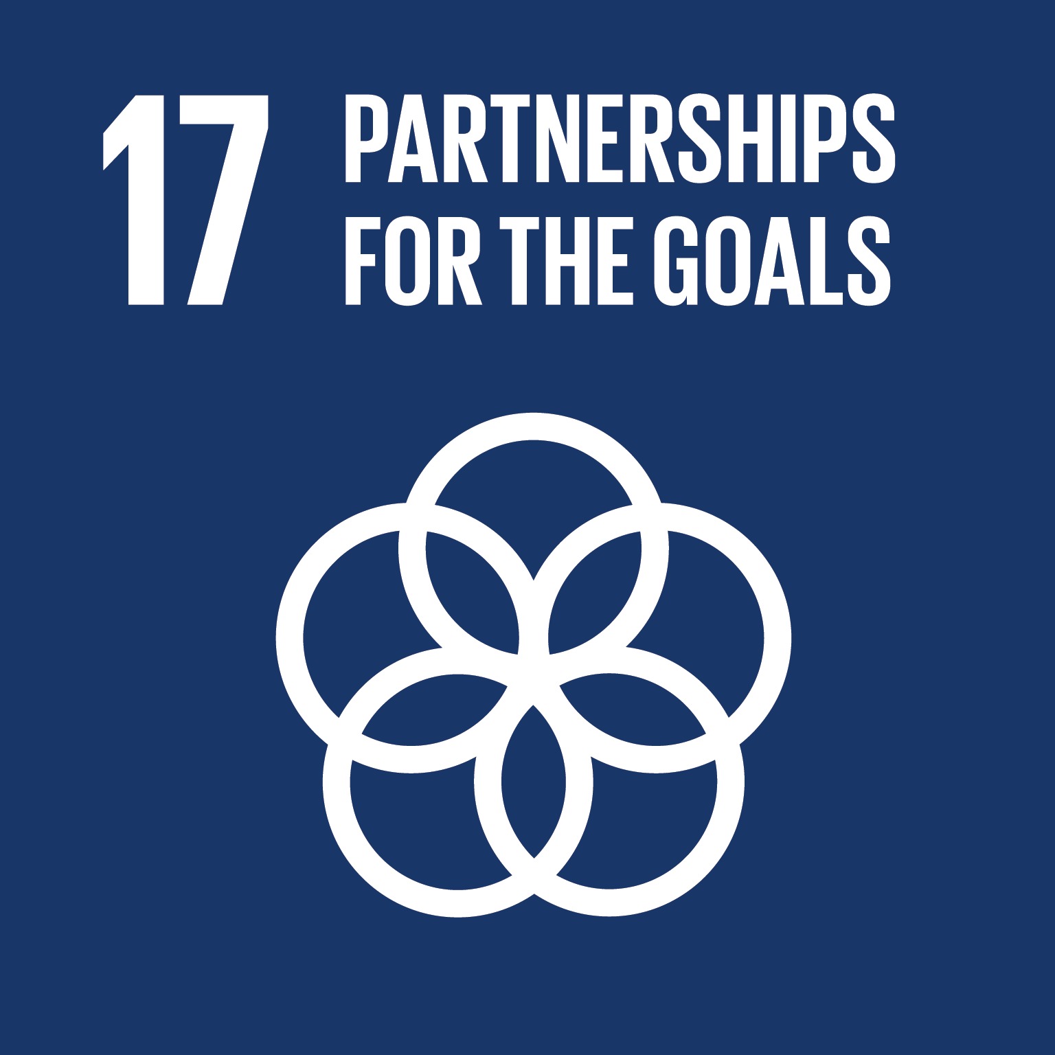 Goal 17: Partnerships for the goals