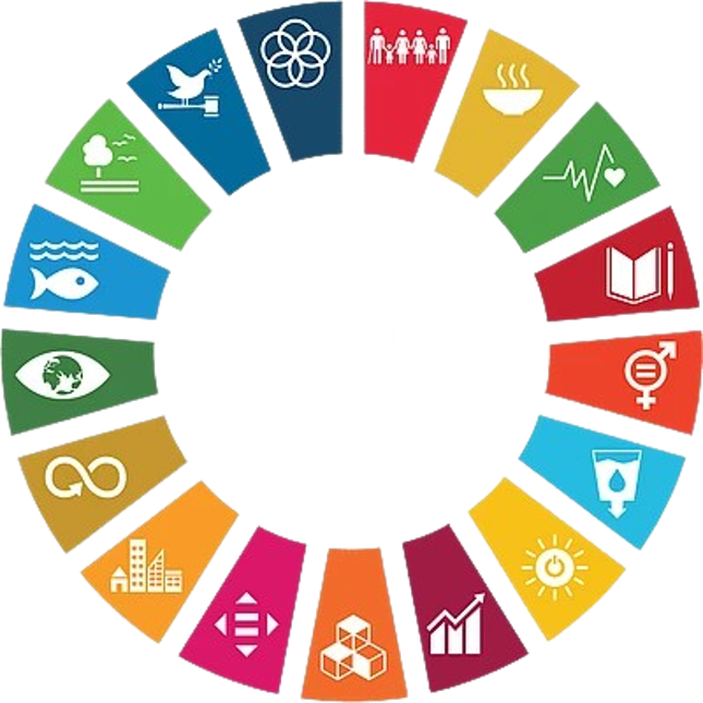SDG Logo